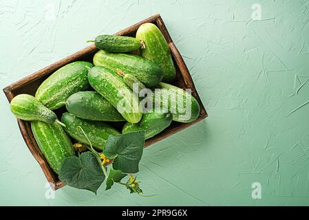 Gurke Stockfoto