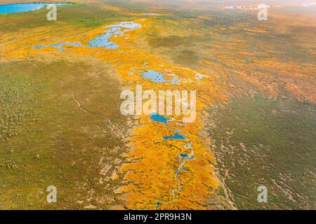 Bezirk Miory, Region Witebsk, Belarus. Der Yelnya-Sumpf. Berggebiete Und Übergangsmoore Mit Zahlreichen Seen. Blick Aus Der Vogelperspektive Auf Das Naturschutzgebiet Yelnya. Berühmtes Naturdenkmal Stockfoto