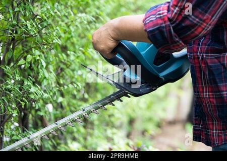 Gärtner hält elektrische Heckenschere, um die Baumkrone im Garten zu schneiden. Stockfoto