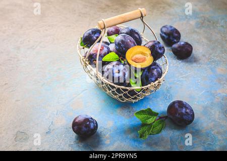 Frisch gepflückte Zwetschgen-Früchte in einem Korb Stockfoto