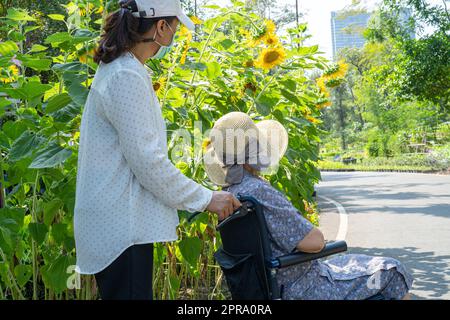 Pflegepersonal Hilfe und Pflege Asiatische ältere oder ältere alte Dame Frau Patientin sitzt und glücklich auf Rollstuhl im Park, gesund starke medizinische Konzept. Stockfoto