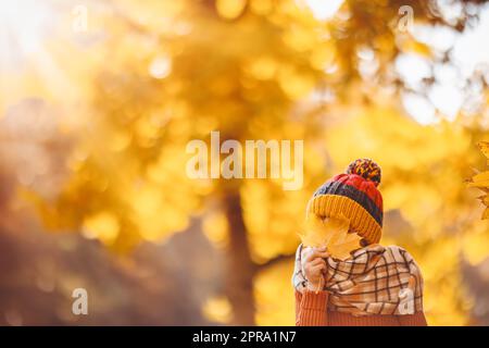 Glückliches Kind versteckt seine Augen hinter den Ahornblättern. Stockfoto