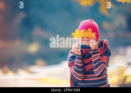 Glückliches Kind versteckt seine Augen hinter den Ahornblättern. Stockfoto