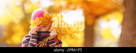 Glückliches Kind versteckt seine Augen hinter den Ahornblättern. Stockfoto