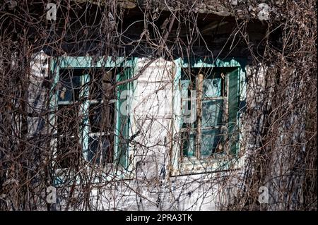 Altes verlassenes Bauernhaus mit zwei kaputten Fenstern Stockfoto