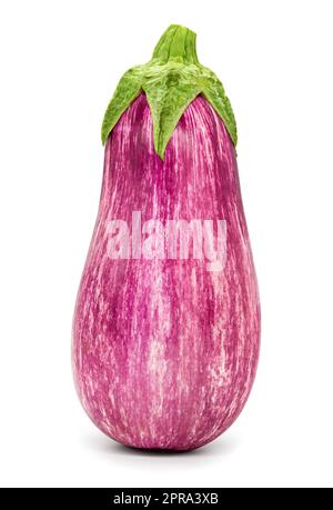 Eine roh gestreifte Aubergine auf weißem Hintergrund. Stockfoto