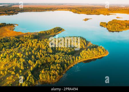 Braslaw District, Witebsk Voblast, Belarus. Luftaufnahme Des Ikazn Lake, Grüne Waldlandschaft. Blick Von Oben Auf Die Wunderschöne Europäische Natur Von High Attitude. Vogelperspektive. Berühmte Seen Stockfoto