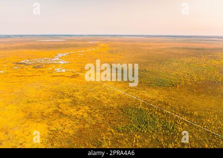 Bezirk Miory, Region Witebsk, Belarus. Der Yelnya-Sumpf. Blick Aus Der Vogelperspektive Auf Das Naturschutzgebiet Yelnya. Schmaler Holzwanderweg, Der Sich Durch Marsh Schlängelt. Cognitive Boardwalk Trail über Einem Feuchtgebiet Stockfoto