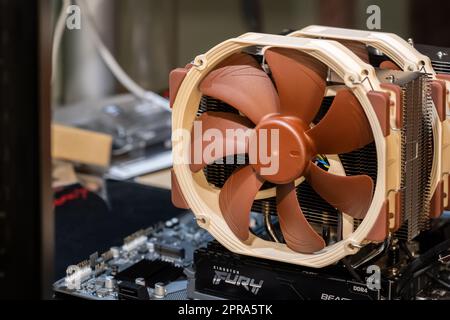 Noctua DS-15 moderner, effizienter CPU-Kühler mit Prozessorlüftung, installiert auf einem neuen Mainboard, baut einen PC aus Teilen, Desktop-Computer Stockfoto