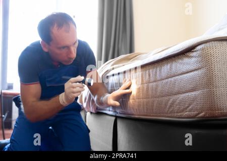 Bettwanzbefall Und Behandlungsservice Stockfoto