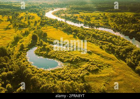 Weißrussland. Erhöhte Aussicht Auf Das Sumpfgebiet, Den Fluss Und Den Grünen Wald Des Kleinen Sumpfgebiets Am Sonnigen Sommertag. Attitude View Wald in Bird's Eye View Stockfoto