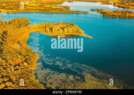 Braslaw District, Witebsk Voblast, Belarus. Luftaufnahme Des Ikazn Lake, Grüne Waldlandschaft. Blick Von Oben Auf Die Wunderschöne Europäische Natur Von High Attitude. Vogelperspektive. Berühmte Seen Stockfoto