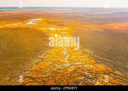 Bezirk Miory, Region Witebsk, Belarus. Der Yelnya-Sumpf. Berggebiete Und Übergangsmoore Mit Zahlreichen Seen. Blick Aus Der Vogelperspektive Auf Das Naturschutzgebiet Yelnya. Berühmtes Naturdenkmal Stockfoto