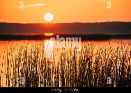 Sonnenuntergang Über Dem Lake River Horizon Bei Sonnenuntergang. Natürlicher Himmel In Warmen Farben Wasser. Sonnengewässer Stockfoto