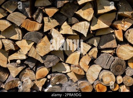 Stapel von Brennholz für den Winter vorbereitet Stockfoto
