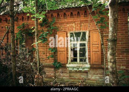 Weißrussland. Verlassenes Haus Mit Bäumen Und Vegetation In Der Umsiedlungszone Von Tschernobyl. Chornobyl-Katastrophen. Verfallenes Haus Im Belarussischen Dorf. Ganze Dörfer Müssen Beseitigt Werden Stockfoto