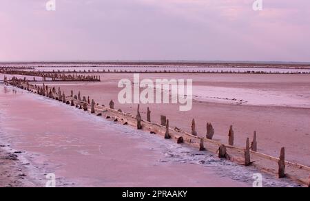 Holzsäulen bedeckten große Salzklumpen im rosa See. Krim, Saki Stockfoto