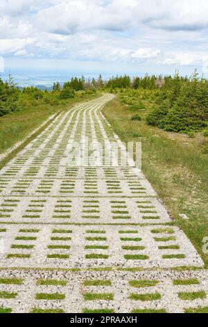 Der Harzer Grenzweg, der zum Grüngürtel in der Nähe des Brockens gehört. Der Grüngürtel markiert den Verlauf der ehemaligen innerdeutschen Grenze. Stockfoto