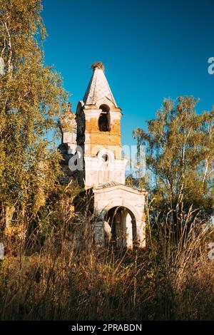 Martinovo, Bezirk Beshenkovichsky, Region Witebsk, Belarus. Alte Ruinen Der Kirche Der Fürsprache Des Heiligen Theotokos. Ruinen Des Alten Kultur- Und Architekturdenkmals Am Sonnigen Herbsttag Stockfoto