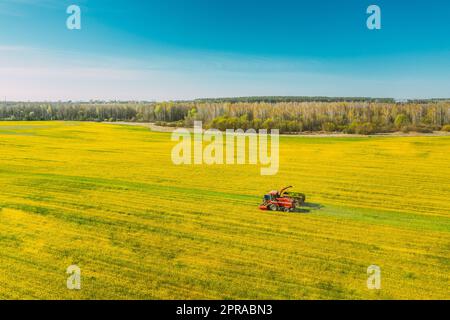 Luftaufnahme Der Ländlichen Landschaft. Mähdrescher Und Traktor Arbeiten Im Feld Zusammen. Ernte Von Ölsaaten Im Frühjahr. Landwirtschaftliche Maschinen, Die Blooming Rapeseeds Canola Colza Sammeln. Erhöhte Aussicht Stockfoto