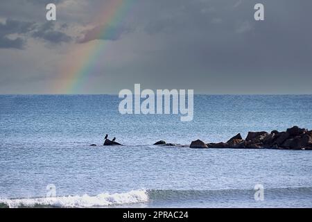 Zwei Vögel auf einem Felsen im Meer mit Regenbögen Stockfoto