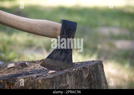 Häcksler oder Axt stehen aufrecht in einem Baumstumpf Stockfoto