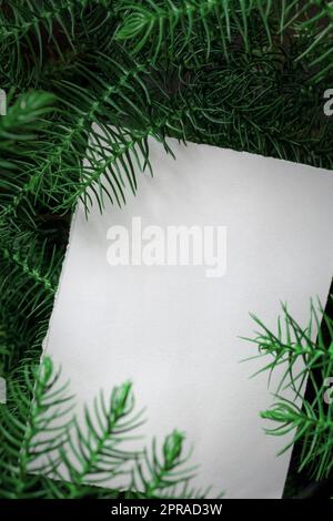 Kreatives Layout mit chilenischem Araukarienwerk und weißer Papierkarte. Flach verlegt. Stockfoto