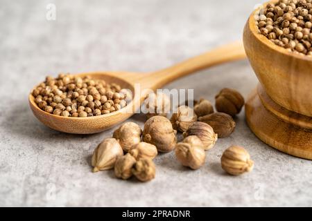 Koriander und siam-Kardamom, Amomum krervanh Pierre, asiatisch getrocknete Gewürze Kräuter für Drogen und Thai-Küche für gute Gesundheit. Stockfoto