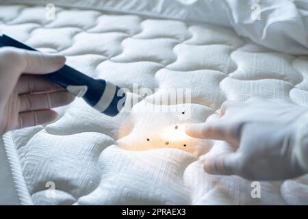 Bettwanzbefall Und Behandlungsservice Stockfoto