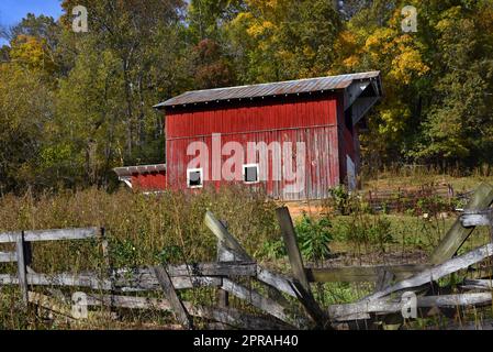 Diese rote, hölzerne Scheune aus den Appalachen ist von einem verwitterten, weißen Holzzaun umgeben. Unkraut hat einen überwucherten Zaun und ein Vorhängeschloss. Die Scheune ist rot mit weißem Rand. Stockfoto