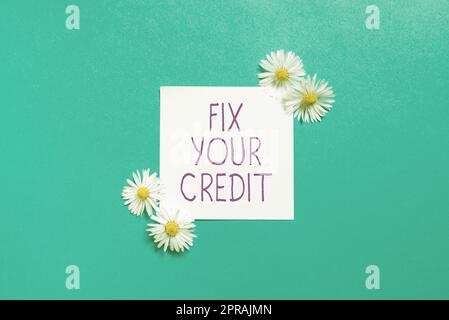 Schreiben Text anzeigen Guthaben korrigieren. Business Showcase halte die Kontostände bei Kreditkarten und anderen Credit Sticky Notes mit wichtigen Nachrichten mit Blumen auf beiden Seiten niedrig. Stockfoto