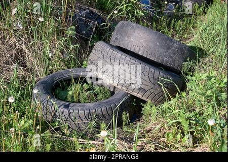 Ein Haufen alter Autoreifen liegt im Gras Stockfoto