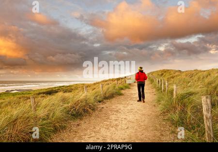 Eine Frau, die auf einem wunderschönen sandigen Pfad am Meer spaziert. North Holland Dune Reserve, Egmond aan Zee, Niederlande. Stockfoto