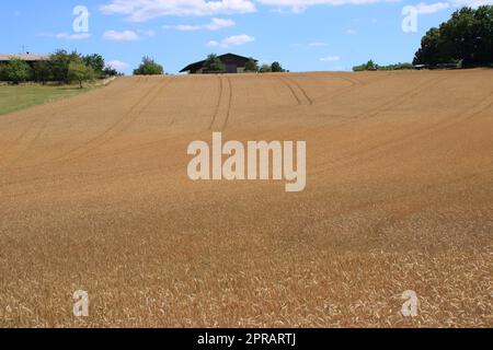 Blick auf den Heckengaeu bei Weissach Stockfoto