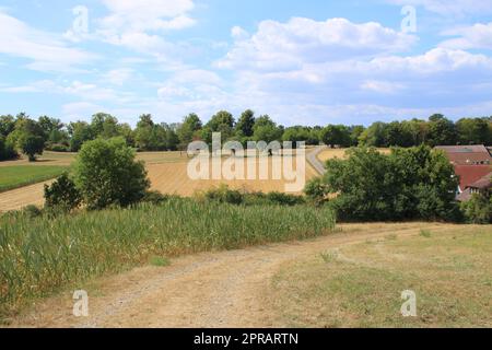 Blick über Wiesen und Hecken auf die Friedenshöhe bei Flacht Stockfoto