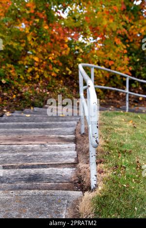 Gebogene Holztreppen und Stahlgeländer führen nach unten. Herbstblätter sind im Hintergrund. Stockfoto