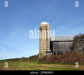 Silo steht hoch vor einem blauen Himmel. Eine alte verwitterte, hölzerne Scheune sitzt daneben. Silberfinials auf dem Dach der Scheune. Stockfoto