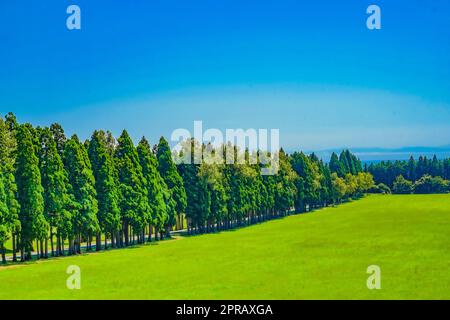 Torapist im Ausland Stockfoto