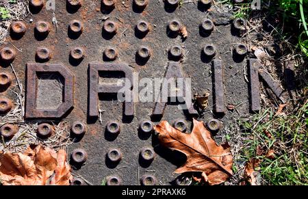 Das Wort Drain wird über eine runde Metallabdeckung geschrieben. Die Abdeckung ist verrostet und verblasst. Zwei braune Herbstblätter lagen über der Stahlabdeckung. Stockfoto