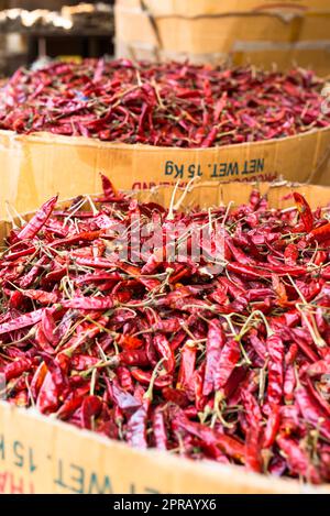 Nahaufnahme von rotem Chili-Pfeffer in Kartons in einem Lebensmittelgeschäft in Galle, Sri Lanka Stockfoto