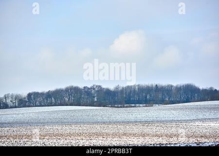 Winterzeit auf dem Land - Dänemark. Dänische Ackerland im Winter. Stockfoto