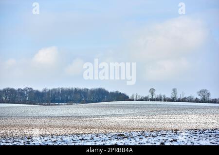 Winterzeit auf dem Land - Dänemark. Dänische Ackerland im Winter. Stockfoto