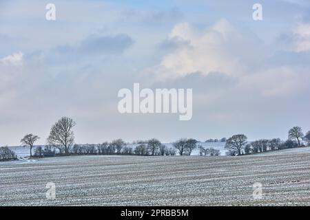 Winterzeit auf dem Land - Dänemark. Dänische Ackerland im Winter. Stockfoto