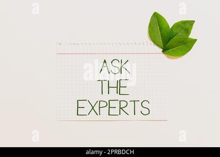 Textunterschrift Präsentation Fragen Sie die Experten. Business Showcase Finden Sie eine professionelle Beratung Beratung Unterstützung Notizbuch Papier mit Blättern dekoriert, um die Marke zu bewerben. Stockfoto