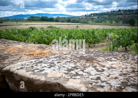 Wunderschöne Weinberge in Frankreich Stockfoto