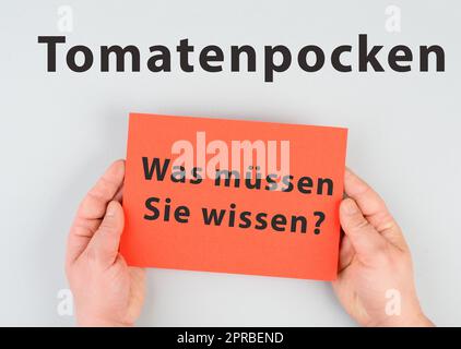 Tomatenpocken, Ausbruch des Virus in Indien, Infektionskrankheit breitet sich aus Stockfoto