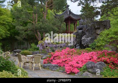 HAREN, NIEDERLANDE - 23. MAI 2022: Wunderschöne Aussicht auf Pflanzen und orientalische Gartenlaube im chinesischen Garten Stockfoto