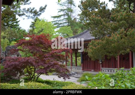 HAREN, NIEDERLANDE - 23. MAI 2022: Wunderschöne Aussicht auf orientalische Gebäude zwischen Bäumen im chinesischen Garten Stockfoto