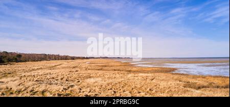 Ostküste von Jütland, Dänemark. Die Ostküste von jütland mit Blick auf Kattegat. Stockfoto