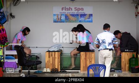 Die Menschen sitzen in einem Fisch-Spa mit ihren Füßen in Fischtanks, wo kleine Fische die tote Haut an ihren Füßen fressen in Jomtien, Pattaya, Thailand. Das kitzelt, aber hinterlässt sauberere Füße und ist eine Art Pediküre. Frauen, Männer, Männer. Stockfoto